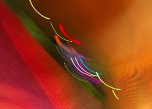 Lichtinstallation mit leuchtenden Linien in warmen Farben wie Rot, Orange und Grün, die Bewegung und Kreativität symbolisieren.