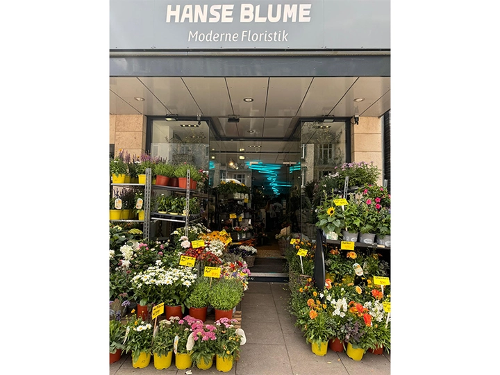 Galerie-Bild 1: Hanse Blumen aus Hamburg von Hanse Blumen , Inh.: Ünal Bayram