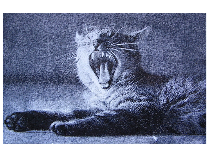 Galerie-Bild 3: Grabmalgestaltung Günther aus Hamburg von Grabmalgestaltung Günther , Inh. Anja Hoffmann, Steinmetz- u. Bildhauermeisterin