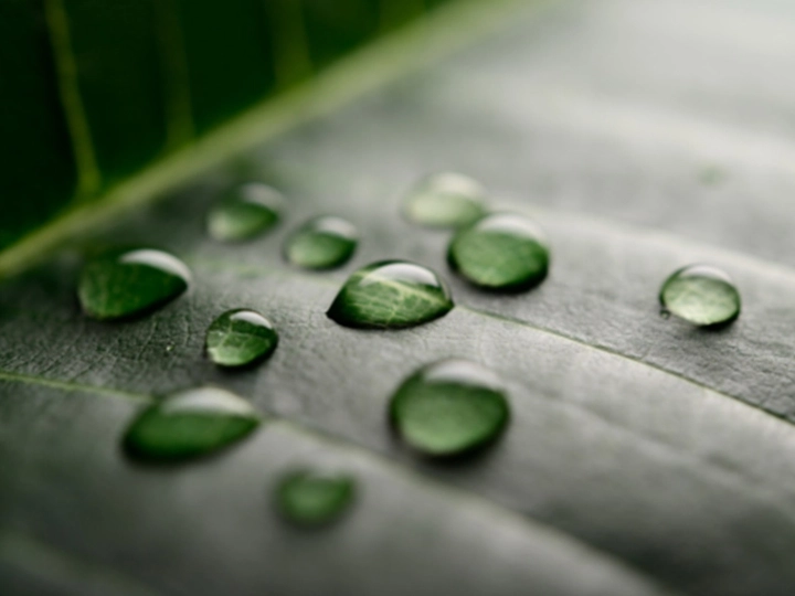 Galerie-Bild 6: Purida aus Hamburg von Purida 