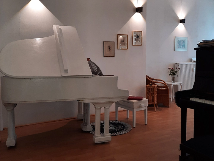 Galerie-Bild 2: Musik-Laden Simsek aus Hamburg von Musik-Laden Simsek 