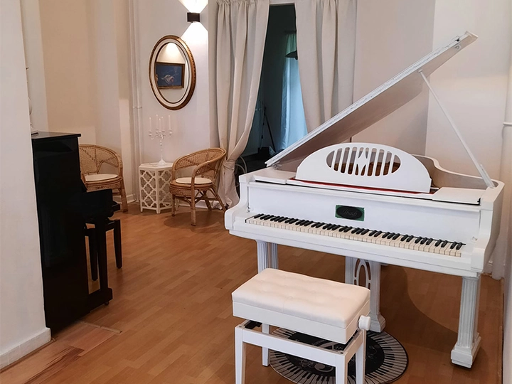 Galerie-Bild 3: Musik-Laden Simsek aus Hamburg von Musik-Laden Simsek 