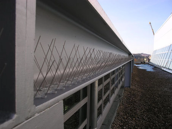 Galerie-Bild 2: Burmeister + Bendel GmbH aus Hamburg von Burmeister & Bendel GmbH (Schädlingsbekämpfung)