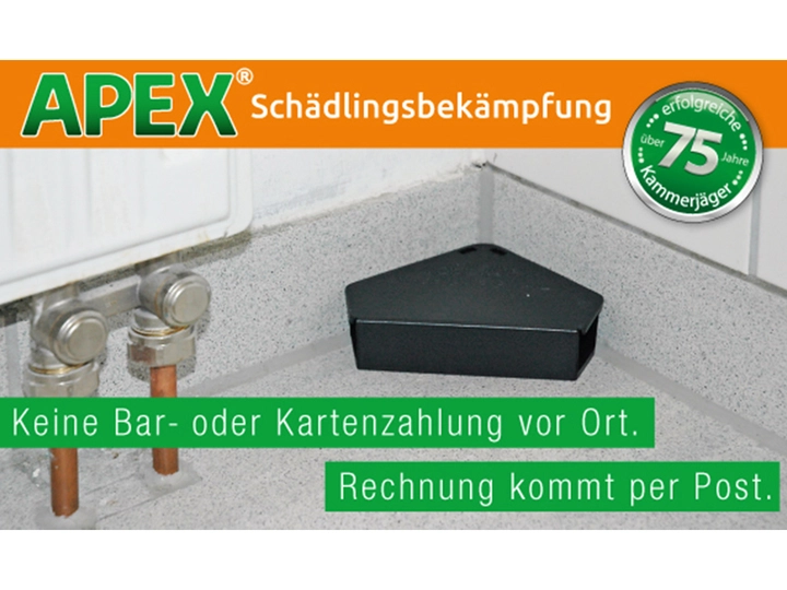 Galerie-Bild 15: . von APEX GmbH (Schädlingsbekämpfung)