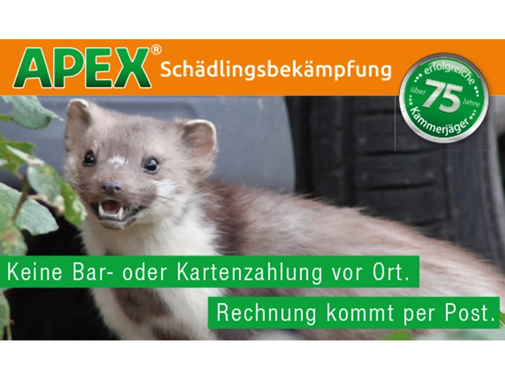 Galerie-Bild 17: . von APEX GmbH (Schädlingsbekämpfung)