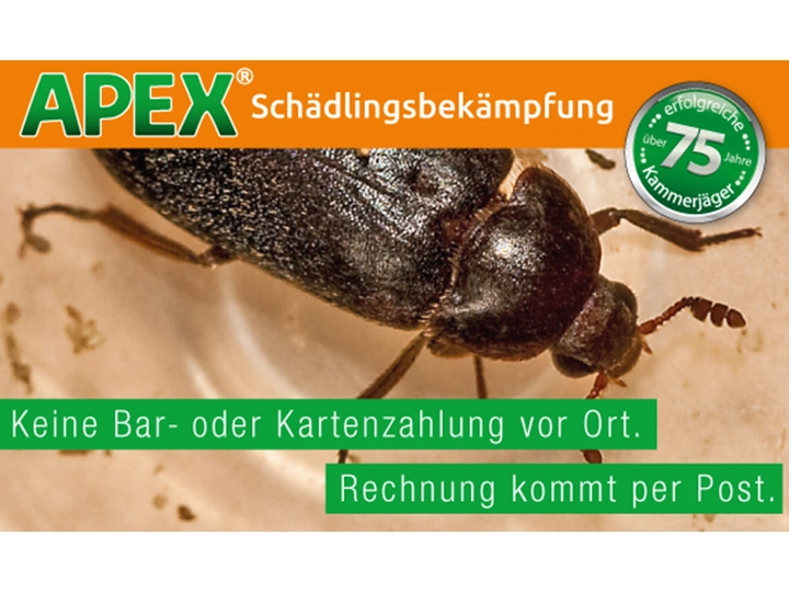 Galerie-Bild 18: . von APEX GmbH (Schädlingsbekämpfung)