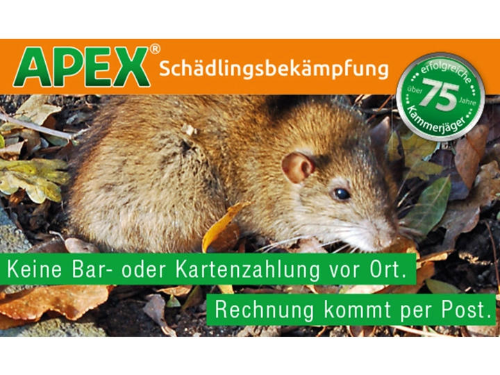 Galerie-Bild 21: . von APEX GmbH (Schädlingsbekämpfung)