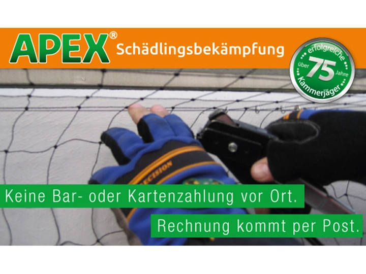 Galerie-Bild 26: . von APEX GmbH (Schädlingsbekämpfung)