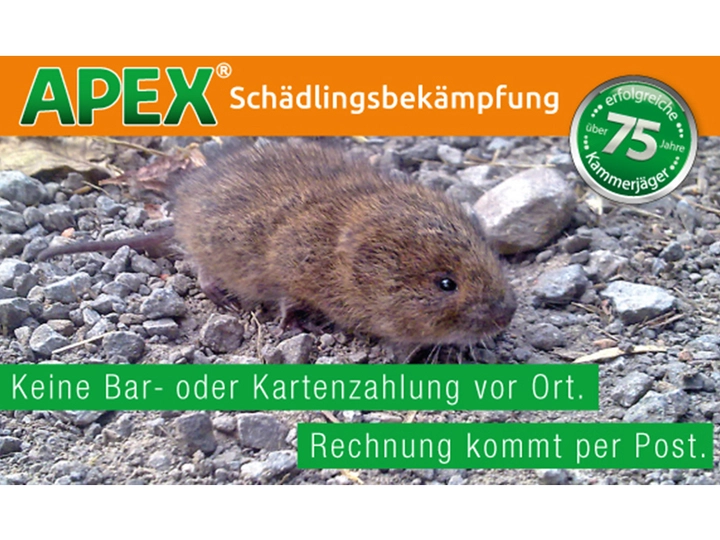 Galerie-Bild 29: . von APEX GmbH (Schädlingsbekämpfung)