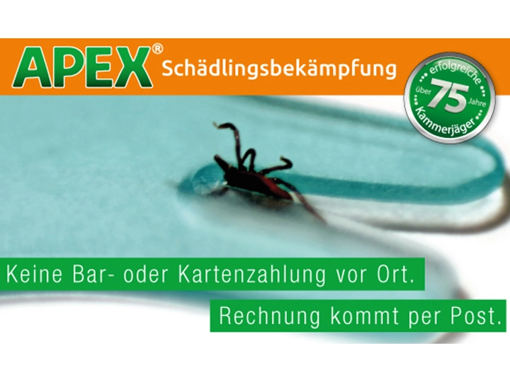 Galerie-Bild 30: . von APEX GmbH (Schädlingsbekämpfung)
