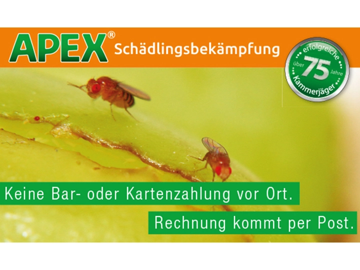 Galerie-Bild 8: . von APEX GmbH (Schädlingsbekämpfung)