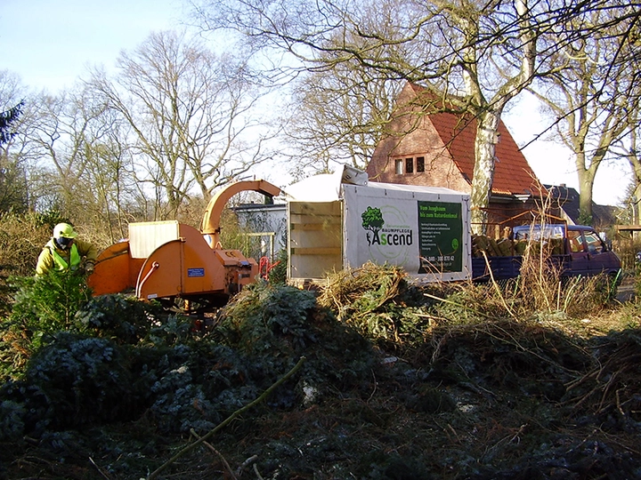 Galerie-Bild 5: ASCEND Baumpflege aus Hamburg von ASCEND Baumpflege , D. Wolfertz (B.Sc. Arboristik), Baumfällungen Baumgutachten
