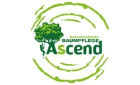 Bild von: ASCEND Baumpflege , D. Wolfertz (B.Sc. Arboristik), Baumfällungen Baumgutachten