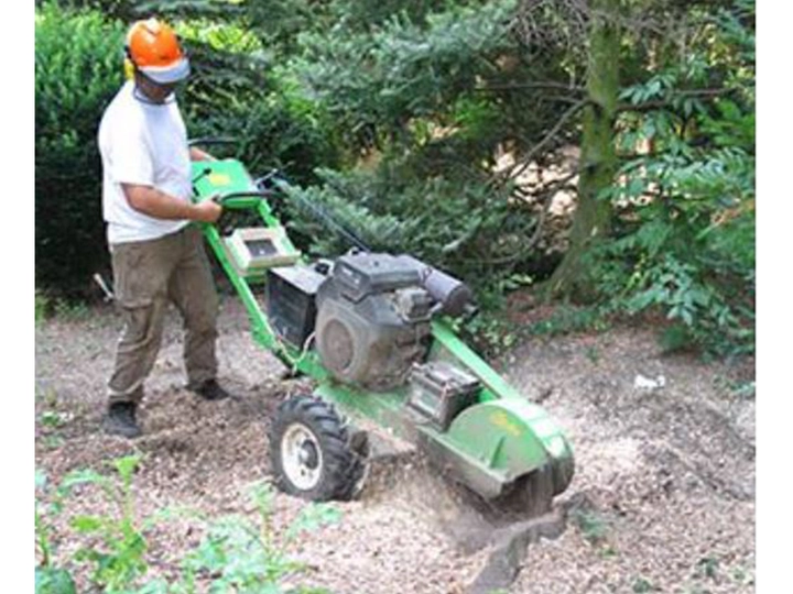 Galerie-Bild 4: Arbor Vita Baumpflege von ARBOR VITA , Baumpflege