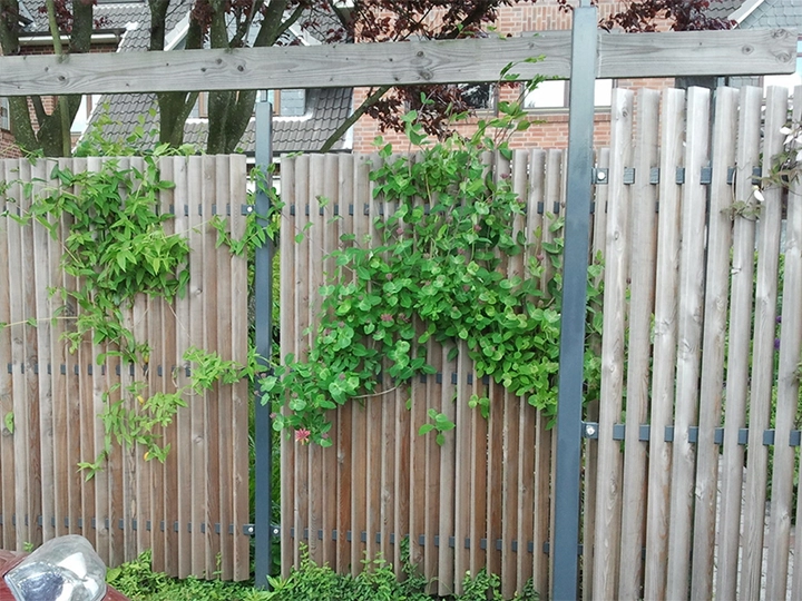 Galerie-Bild 7: Irene Alberts aus Appen von Alberts Irene (Garten- und Landschaftsarchitektin)