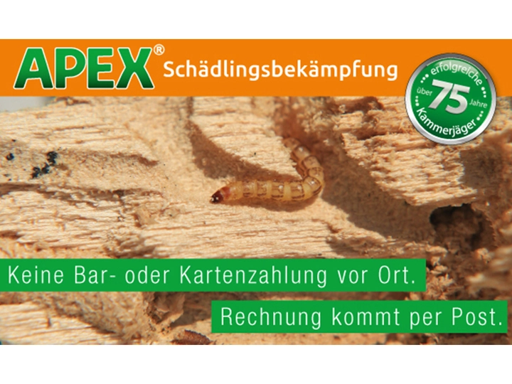 Galerie-Bild 13: . von APEX Schädlingsbekämpfung 