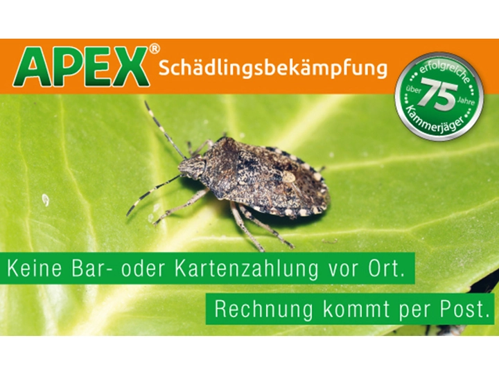 Galerie-Bild 24: . von APEX Schädlingsbekämpfung 