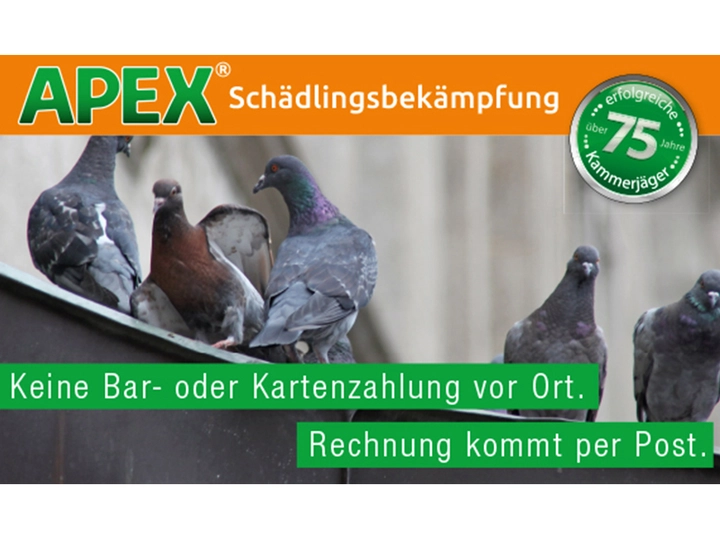 Galerie-Bild 25: . von APEX Schädlingsbekämpfung 