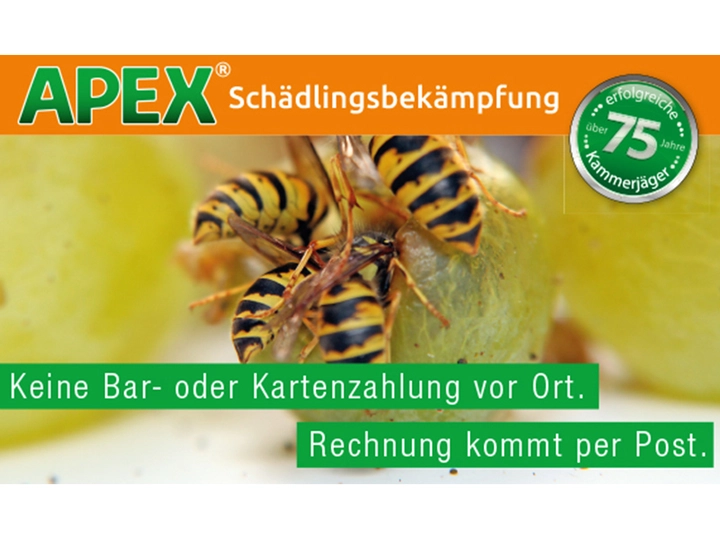 Galerie-Bild 27: . von APEX Schädlingsbekämpfung 