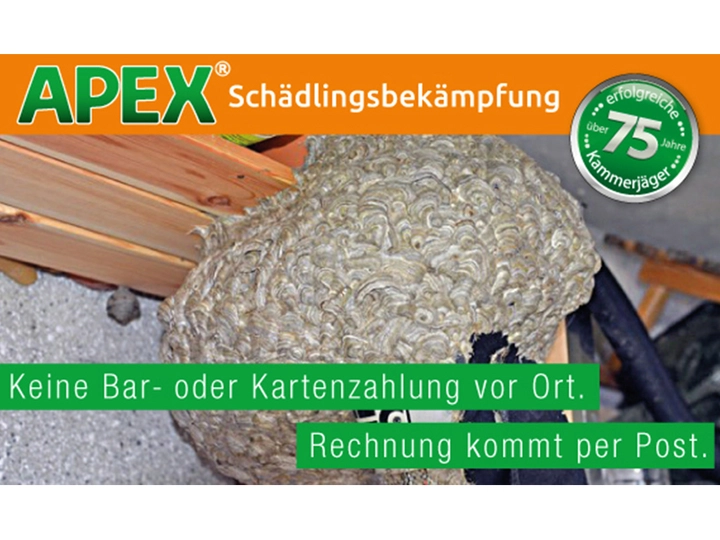 Galerie-Bild 28: . von APEX Schädlingsbekämpfung 