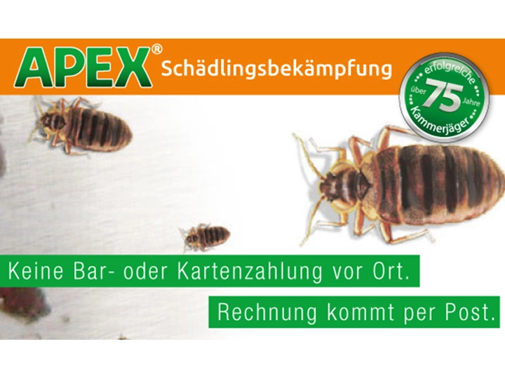 Galerie-Bild 3: . von APEX Schädlingsbekämpfung 