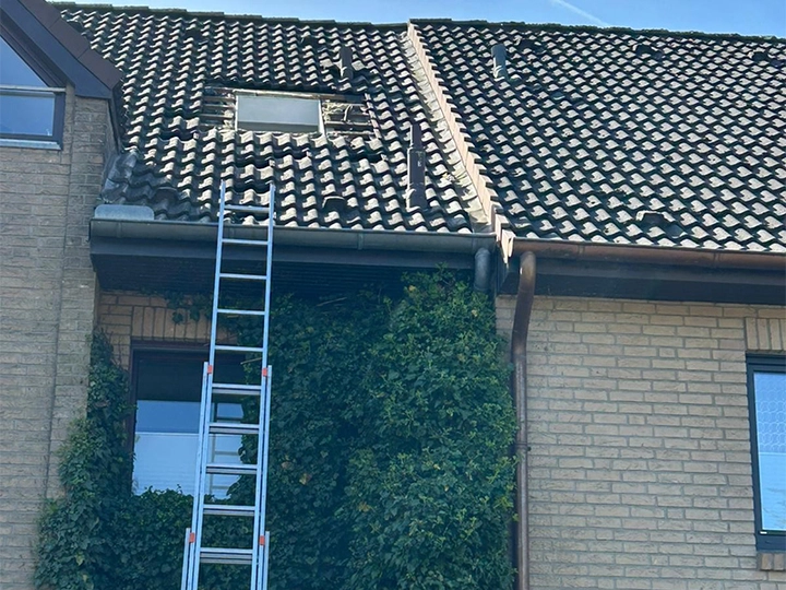 Galerie-Bild 20: Martini Bauservice aus Elmenhorst von Dachdeckerei Martini Bauservice 