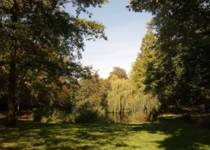 Park am Weiher in Eimsbüttel