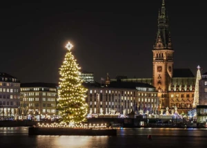 Alstertanne, © Marek Santen