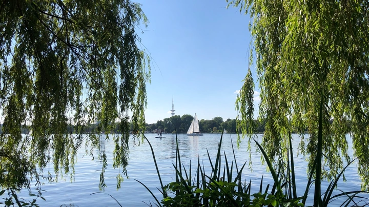 Galerie-Bild 1: Außenalster