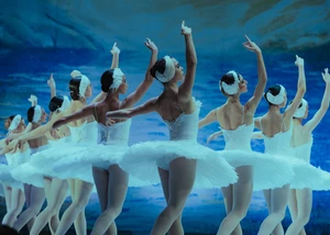 Mehrere Ballerinas in weißem Tutu