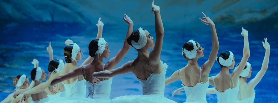 Mehrere Ballerinas in weißem Tutu