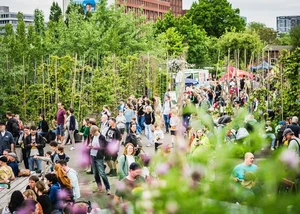 Viele Menschen laufen durch einen Park