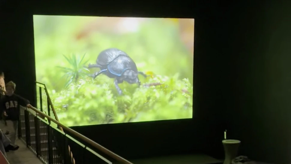 Naturfilmkino in der Botschaft der Wildtiere