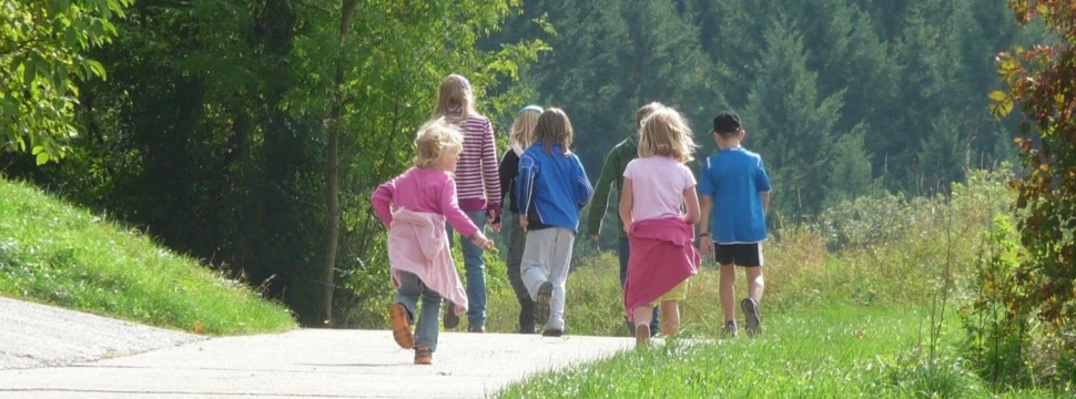 sieben Kinder laufen einen Wanderweg entlang