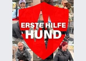 Rudel - Erste Hilfe am Hund