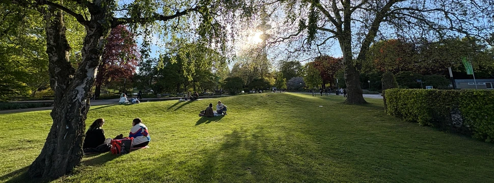 Picknick im Park Planten un Blomen
