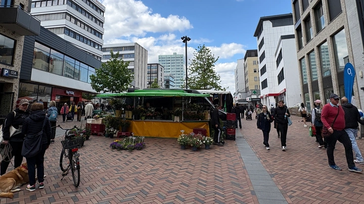 Galerie-Bild 3: Blick in die Große Bergstraße