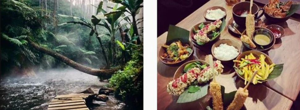 TA VEGAN HOUSE TA VEGAN HOUSE, Pressefoto