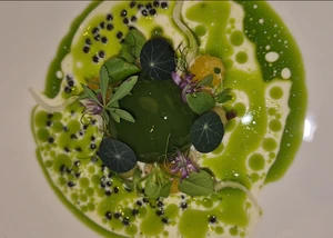 Kohlrabi mit Petersiele, Kaviar und gereifter Sauce
