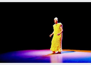 Ein Zebra am Abgrund