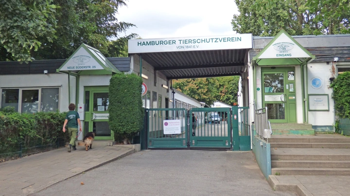Galerie-Bild 5: Tierheim Süderstraße