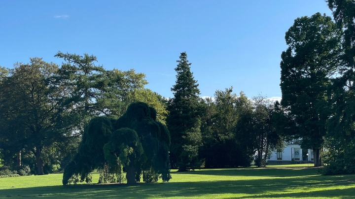 Galerie-Bild 2: Jenischpark