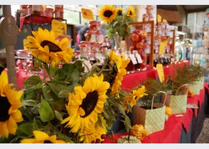 Herbstmarkt im Wildpark Schwarze Berge