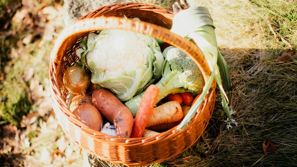 leckerer Gemüsekorb
