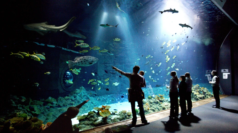 Hai Atoll mit Besuchern im Aquarium Hagenbeck Hai Atoll, © Tierpark Hagenbeck