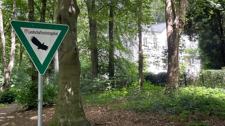Galerie-Bild 5: Waldpark und Gutshaus Marienhöhe