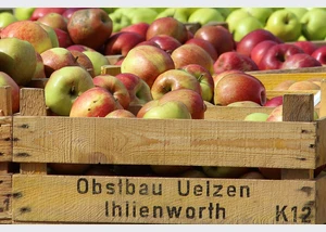 Wochenmarkt auf dem Großneumarkt