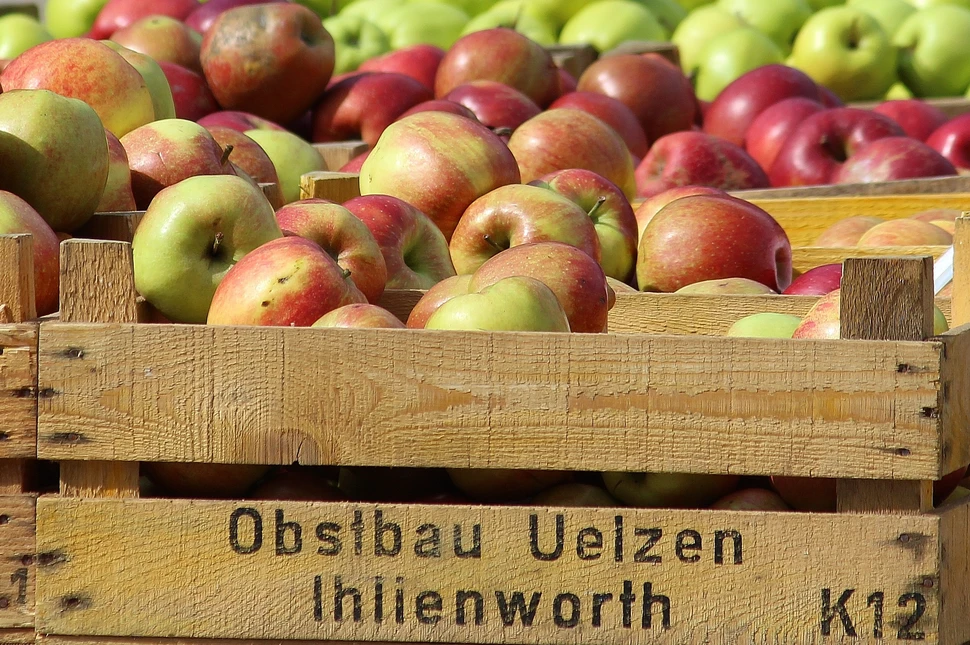 Wochenmarkt auf dem Großneumarkt