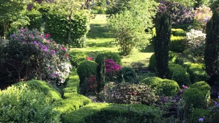 Galerie-Bild 4: Büsche, Blumen und Bäume mit grüner Wiese