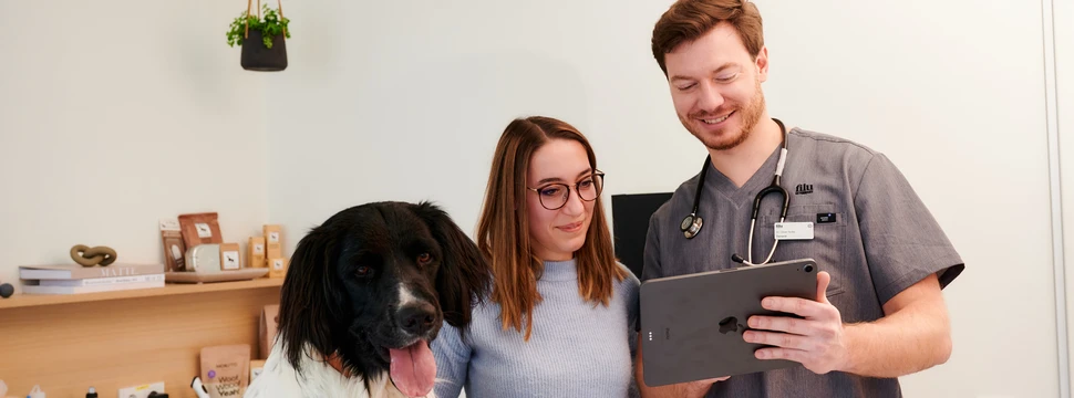 Kleintiere werden bei filu rundum versorgt mit viel Liebe und Sorgfalt Hund und Hundebesitzerin im Gespräch mit einem Tierarzt
